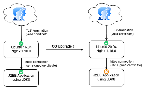 Tls failed to verify certificate