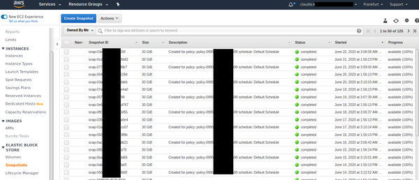 EBS Volume Snapshots created by Data Lifecycle Manager Policy