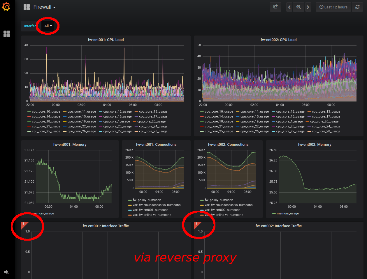 Grafana dashboard behind reverse proxy not showing graph but shows